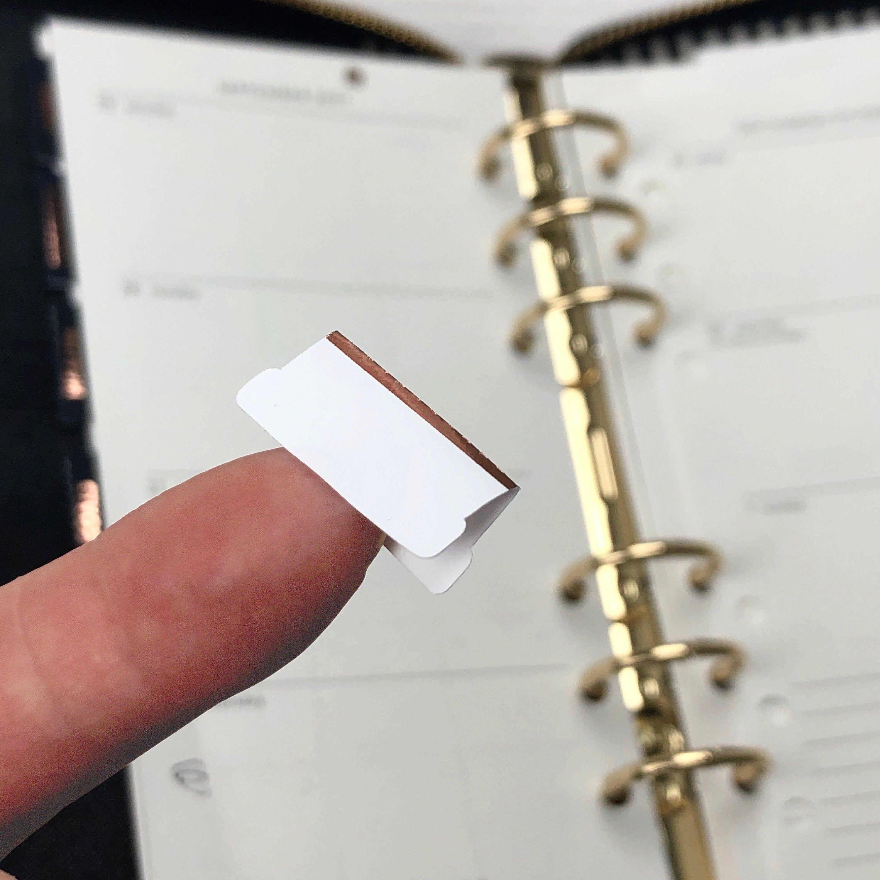 Blank Tab Stickers - White with Foil trim