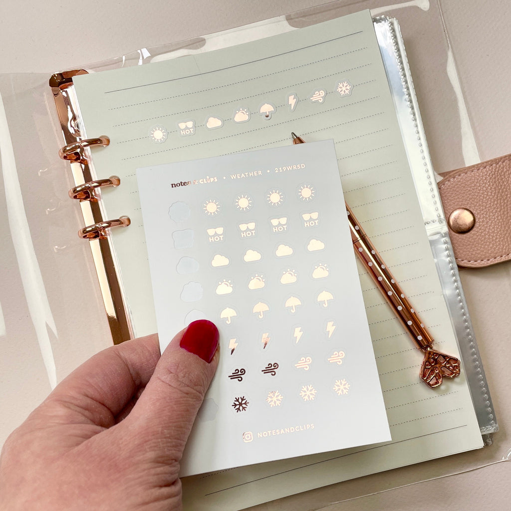 Foiled Weather Planner Stickers: 40 Icon Stickers (9mm)