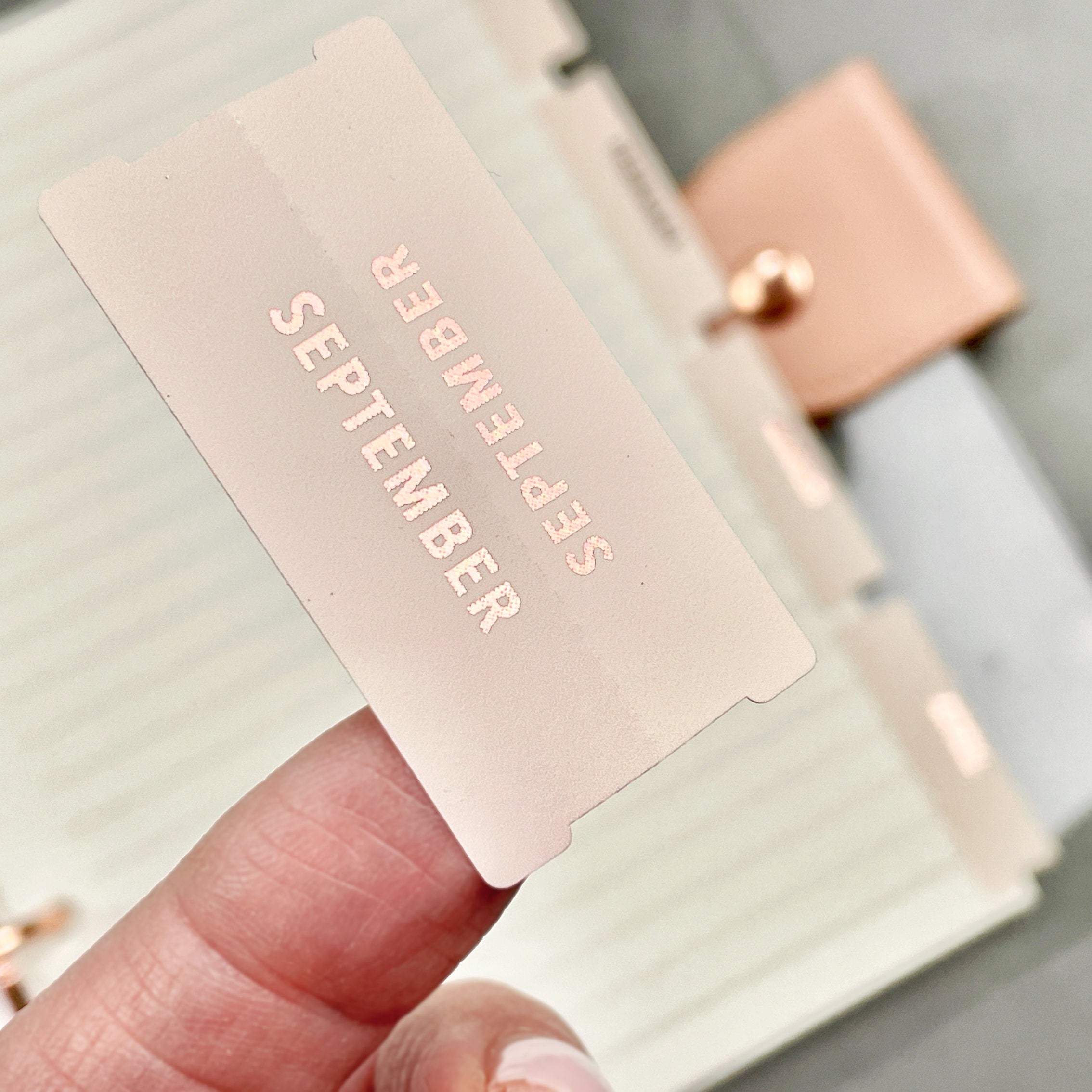 Blush Pink Month Tab Stickers: Large Planner Tabs