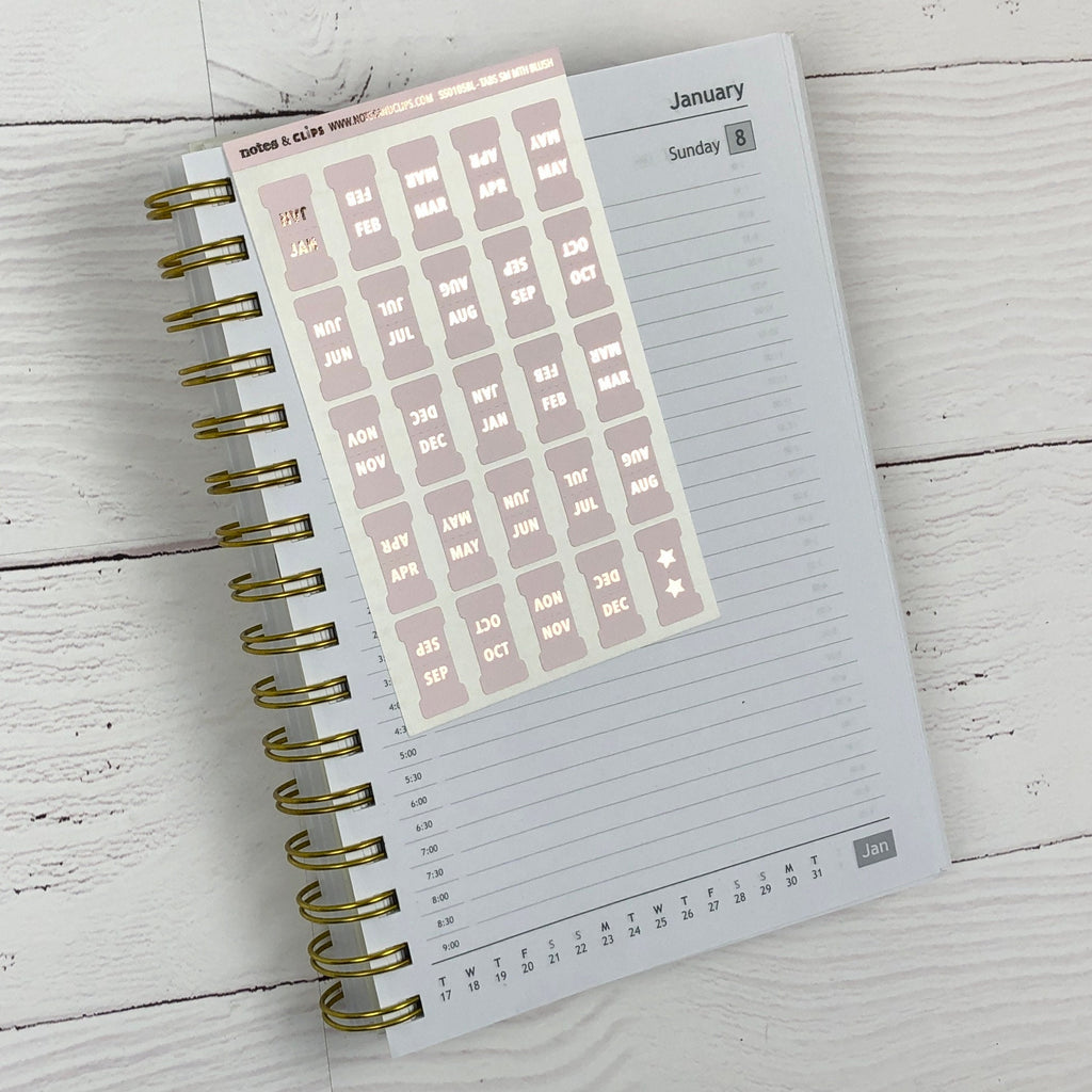 Blush & Foil Small Monthly Tabs