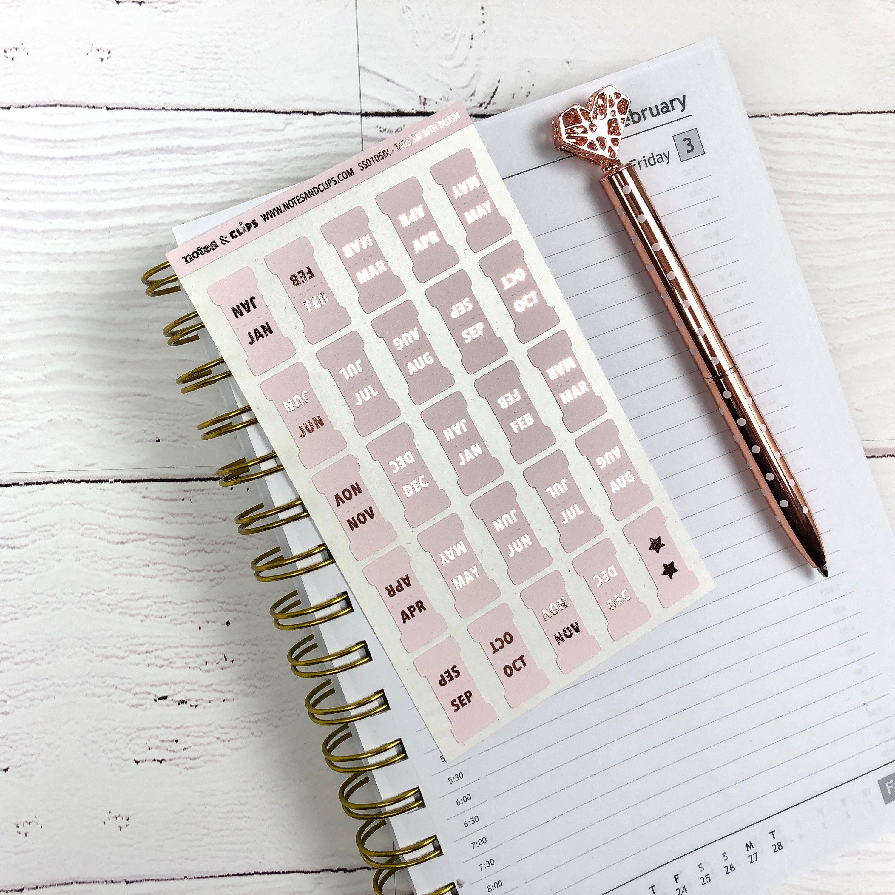 Blush & Foil Small Monthly Tabs