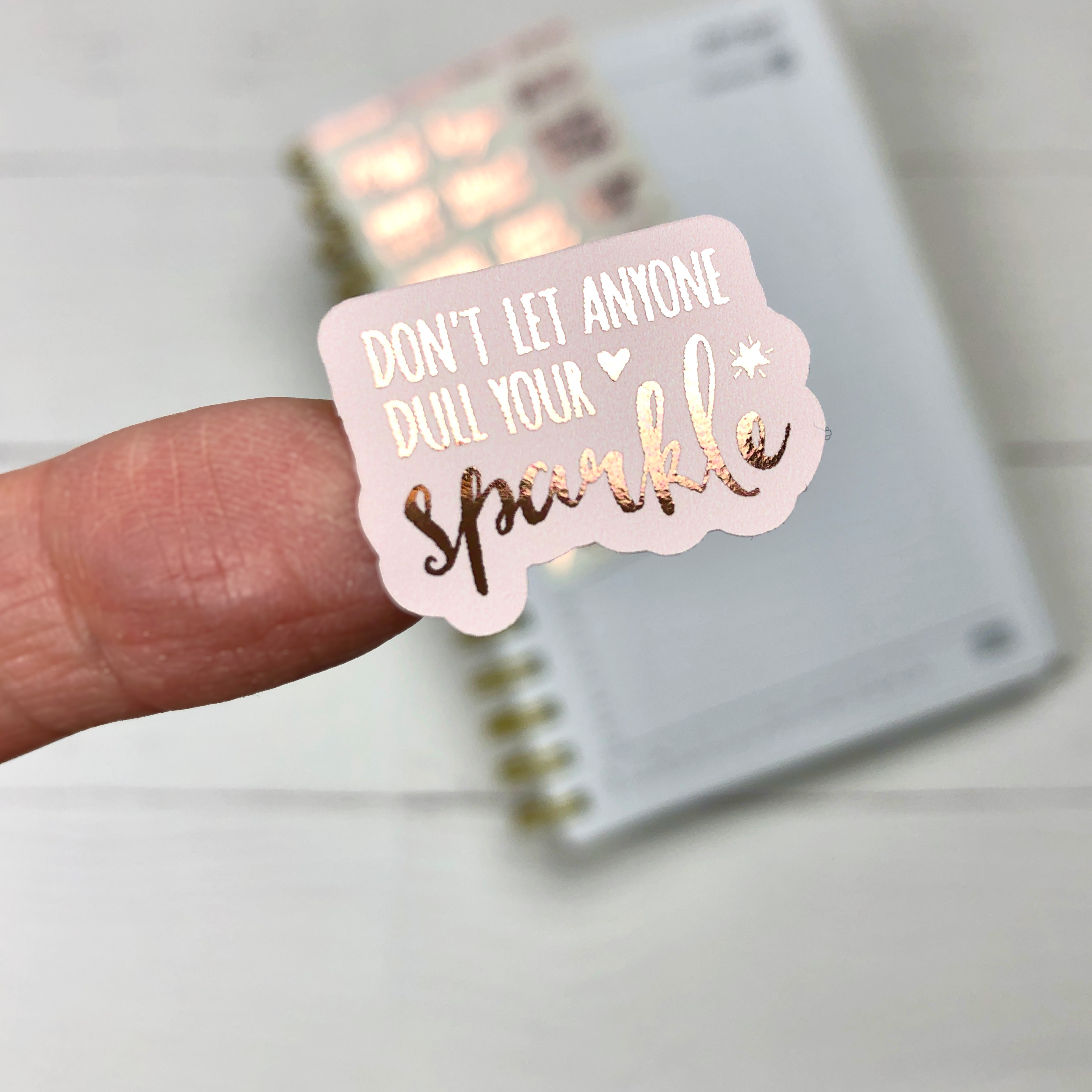 Blush and Rose Gold Foiled Motivation Stickers